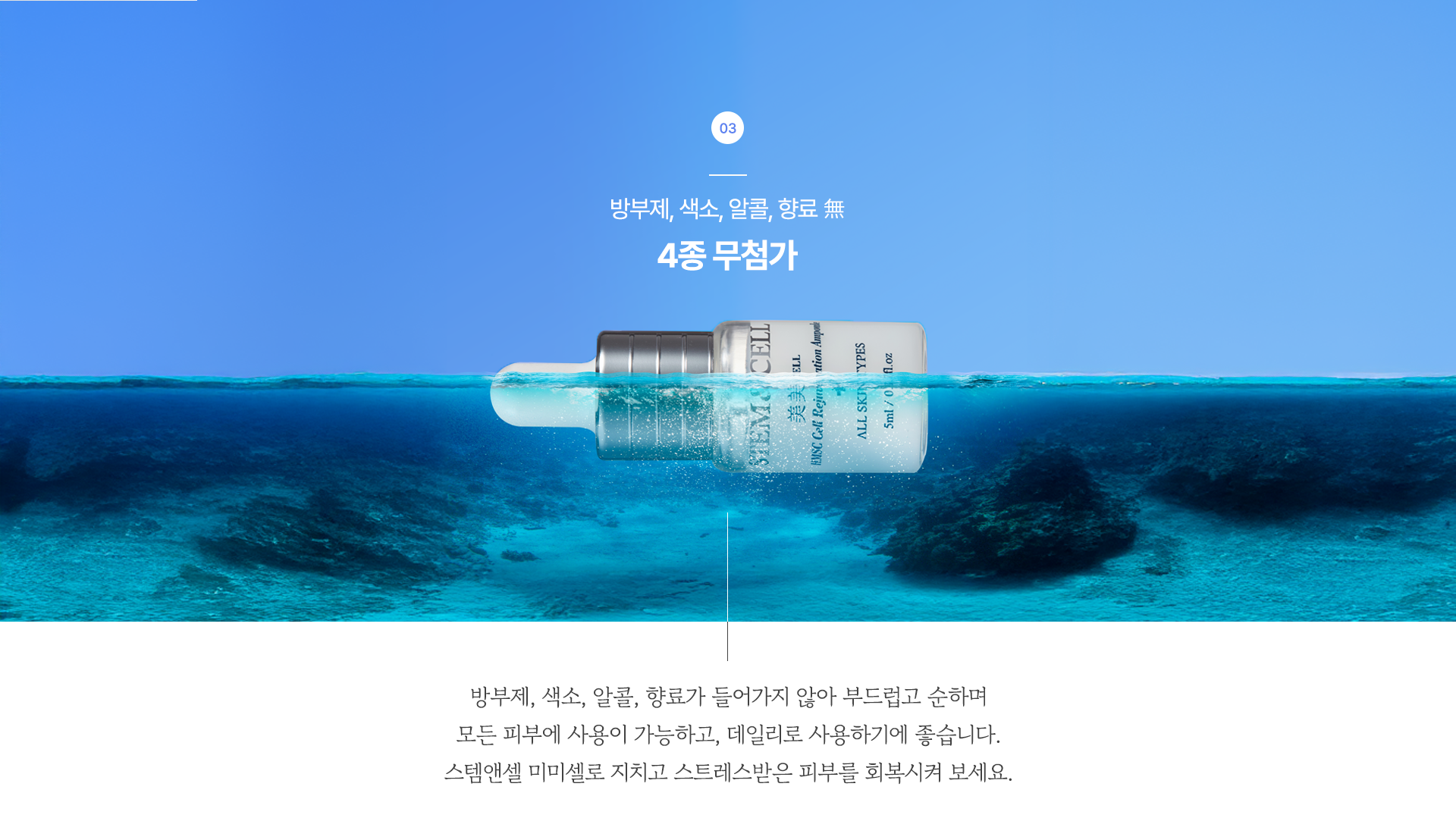 스템앤셀